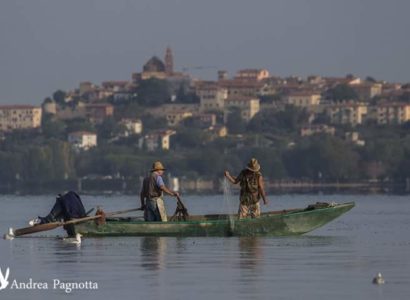 Lago Trasimeno